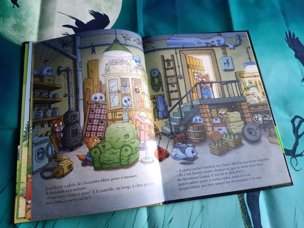 Livres En Francais Mini Loup Mini Loup Joue A Cache Cache